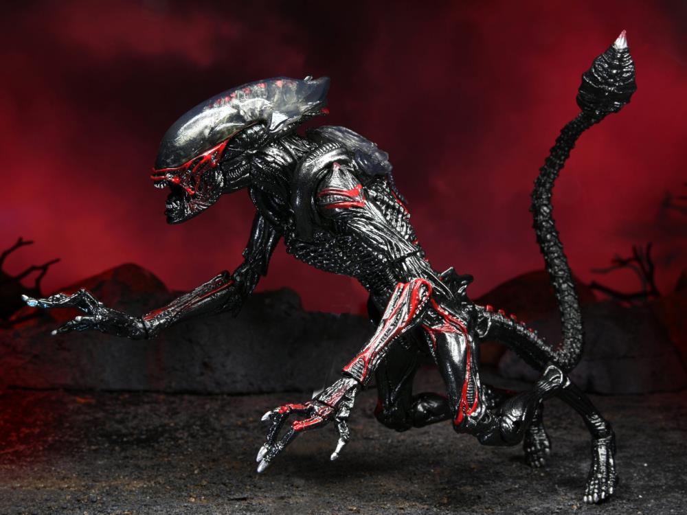 PRE-ORDER 7-inch Action Figure - Aliens - Kenner Tribute Night Cougar Alien