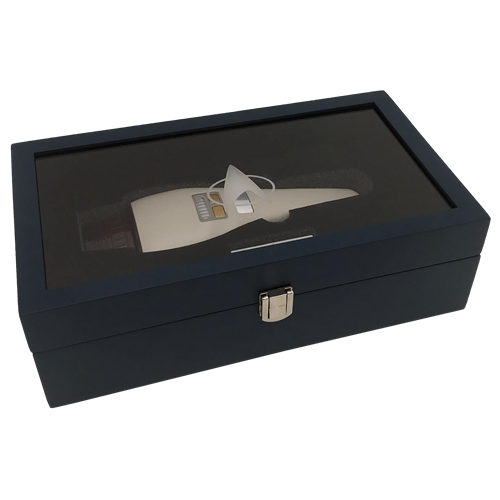 PRE-ORDER Prop Replica - Star Trek: The Next Generation - Type-2 Dust Buster Phaser Limited Edition