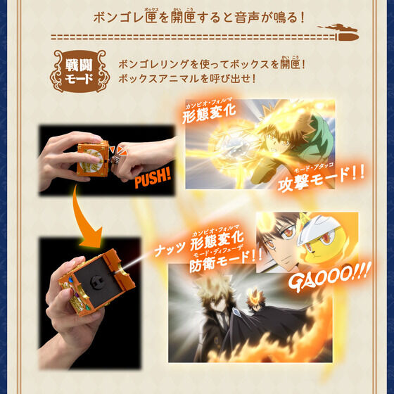 PRE-ORDER Katekyo Hitman Reborn! Special Memorize Vongola Box & Vongola Ring Set: Mukuro Rokudo [EXCLUSIVE] [JP]
