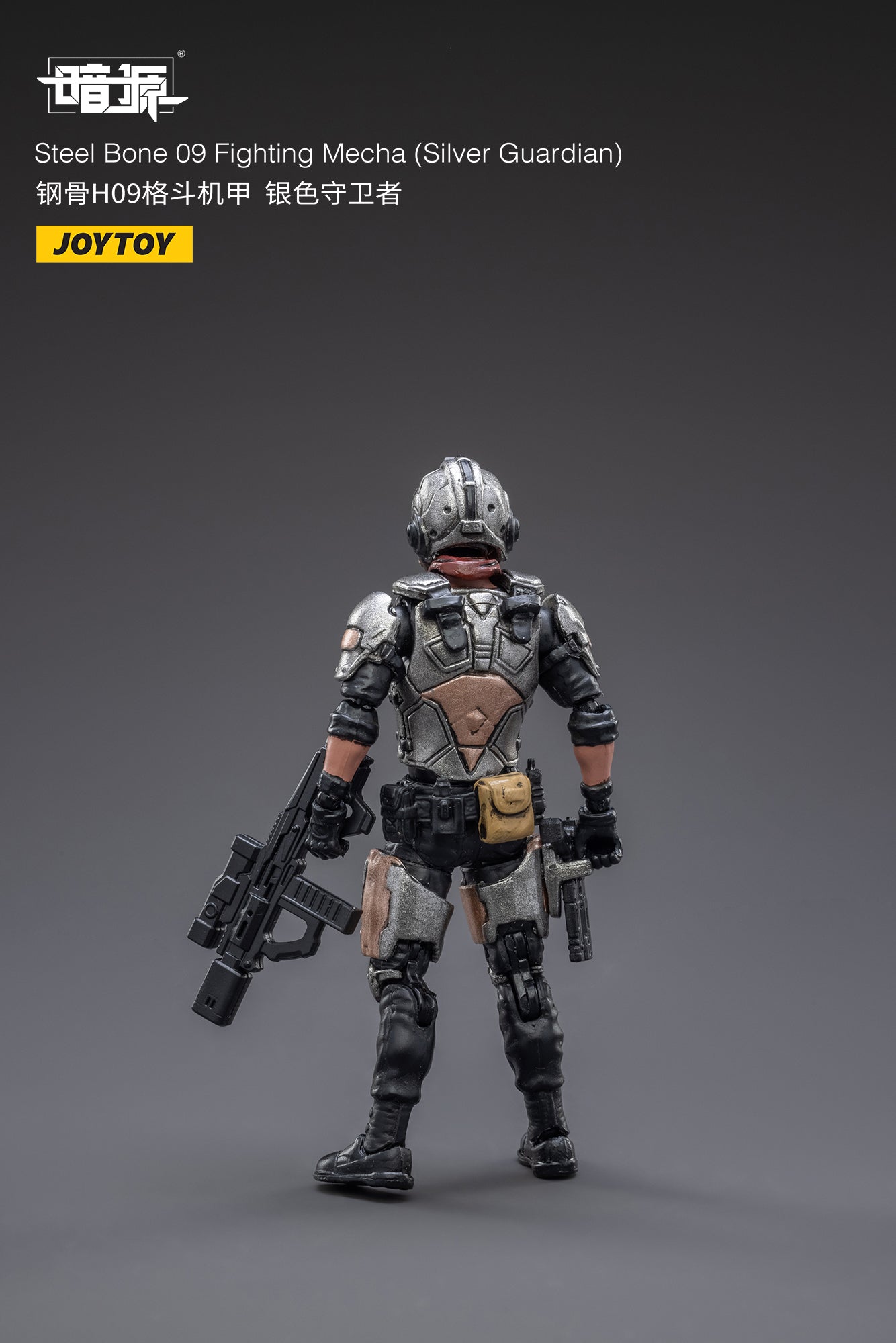 PRE-ORDER Steel Bone 09 - Fighting Mecha: Silver Guardian 1/18