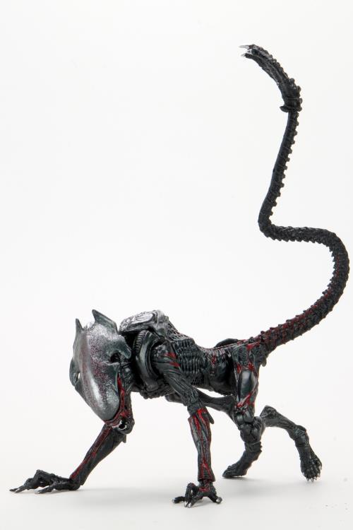 PRE-ORDER 7-inch Action Figure - Aliens - Kenner Tribute Night Cougar Alien