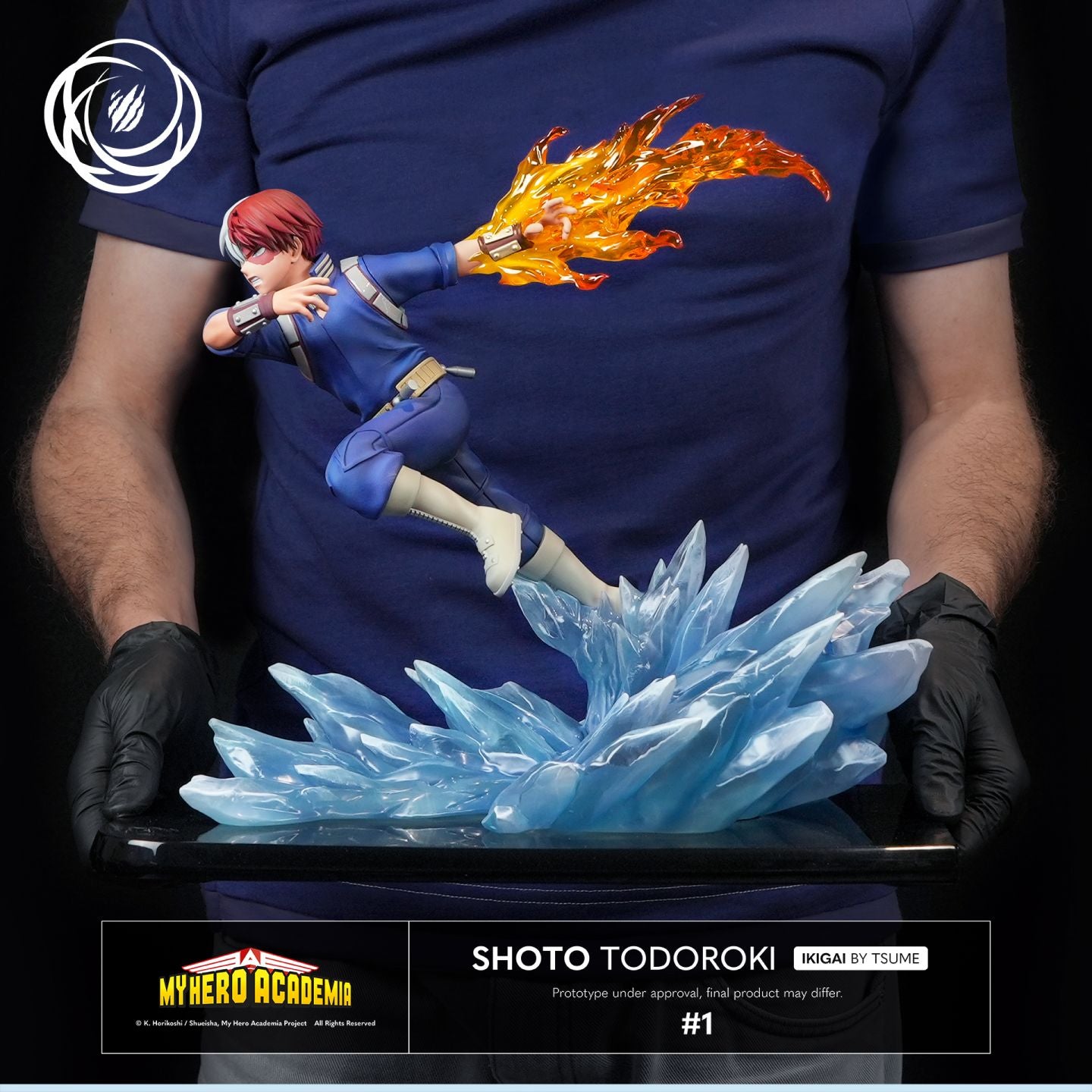 PRE-ORDER My Hero Academia - Shoto Todoroki: Ikigai 1/6