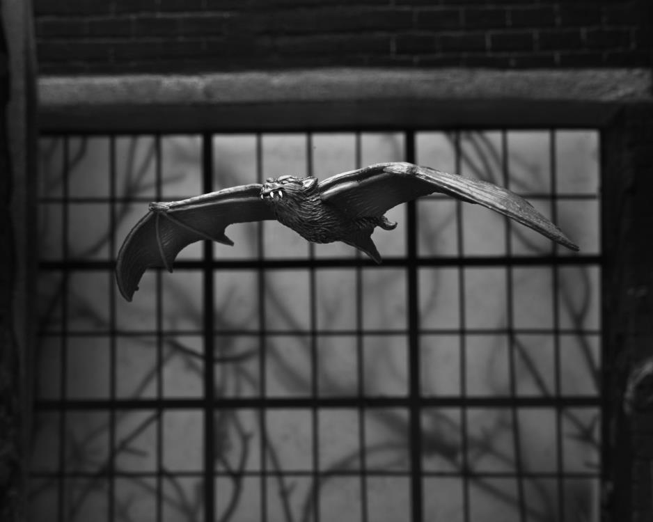 PRE-ORDER 7-inch Scale Figure - Universal Monsters - Dracula (Carfax Abbey)