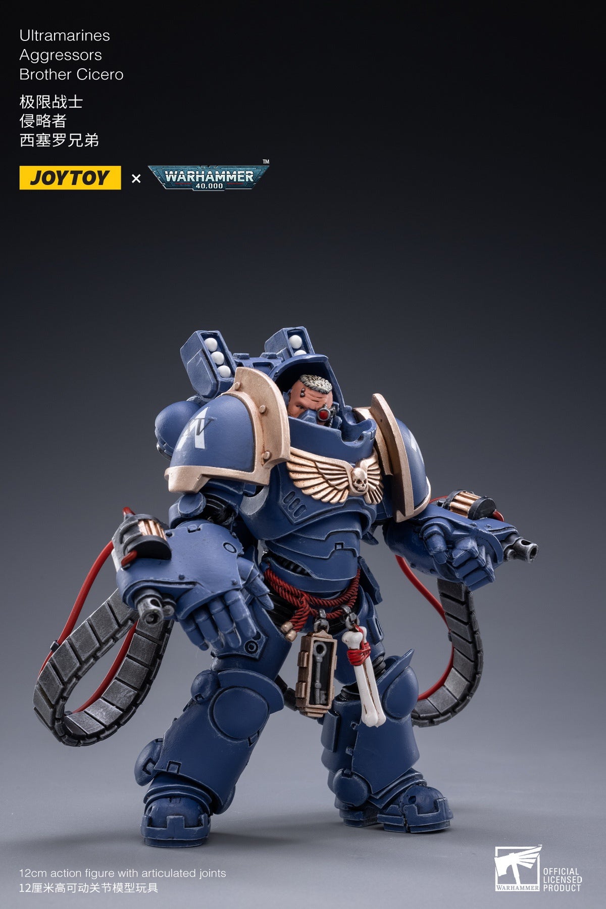 PRE-ORDER Ultramarines - Aggressors 1/18