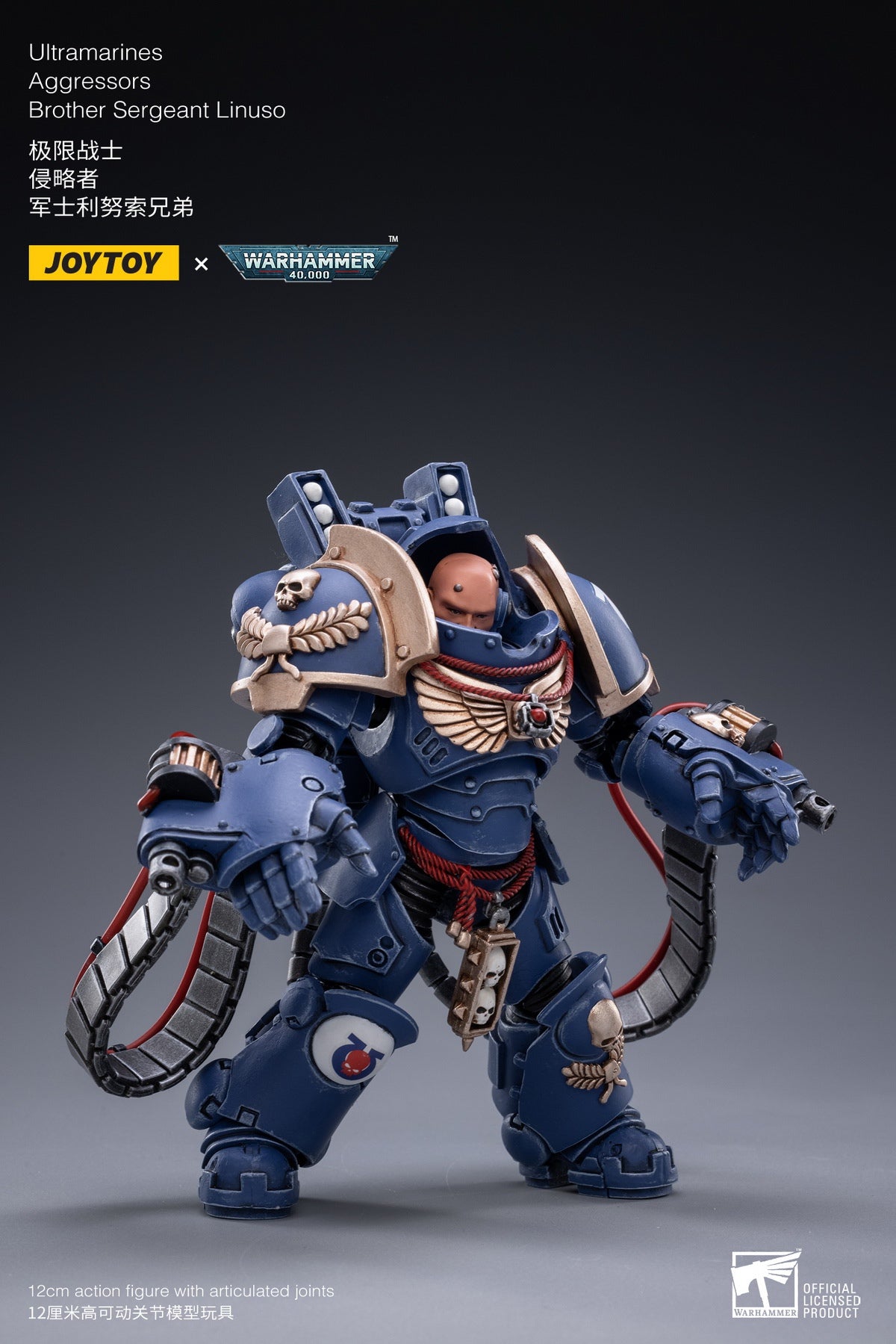PRE-ORDER Ultramarines - Aggressors 1/18