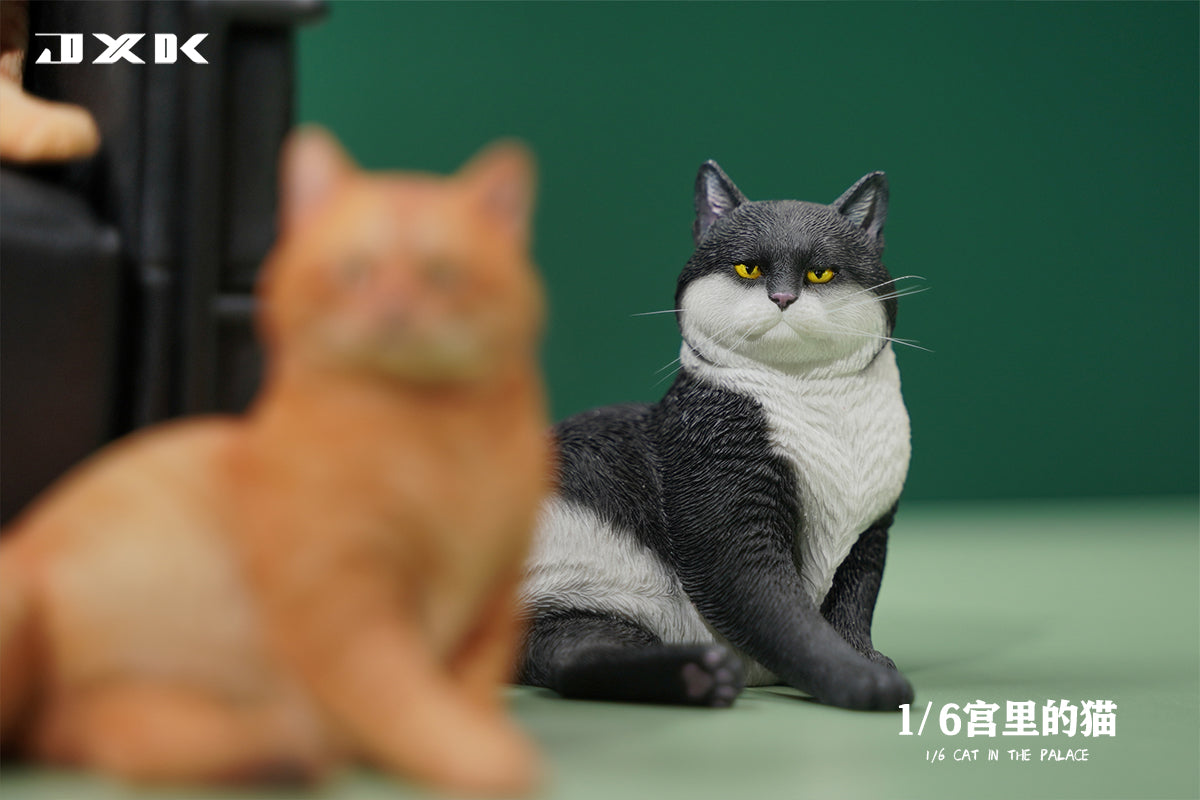 PRE-ORDER Cat in the Palace 1/6
