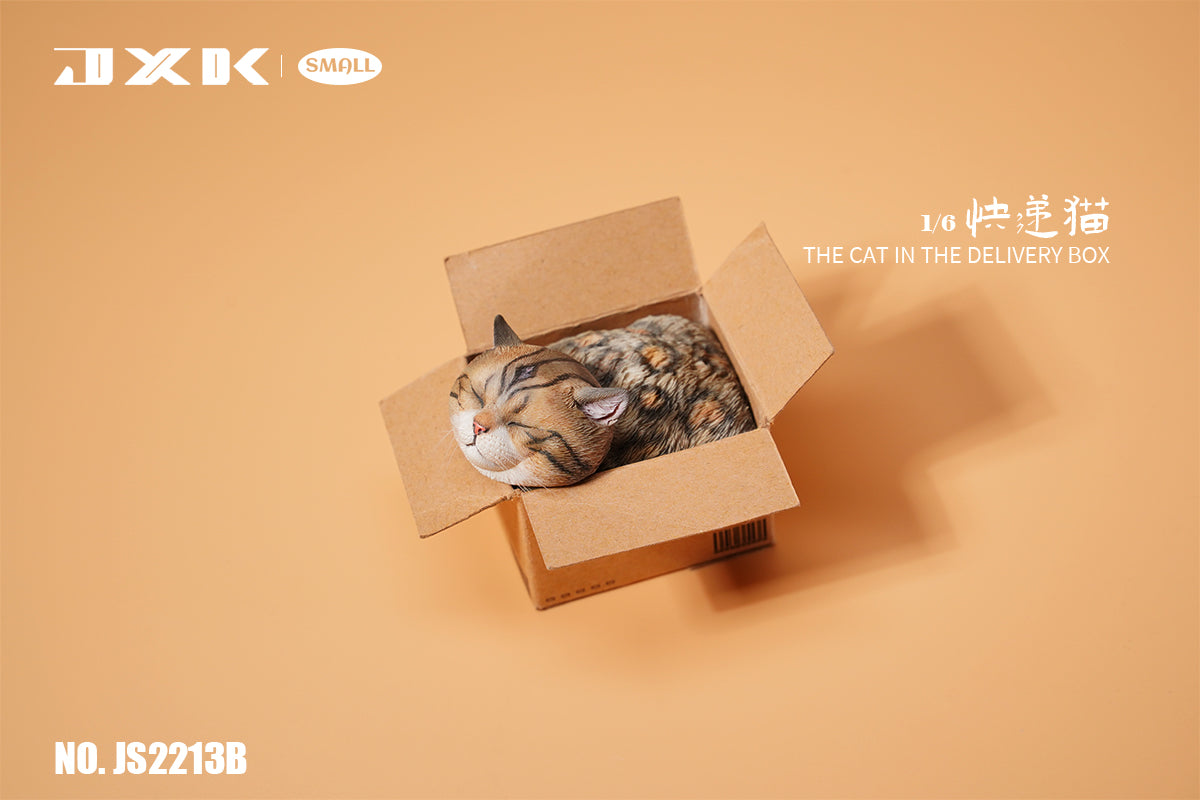 PRE-ORDER The Cat in the Delivery Box 1/6