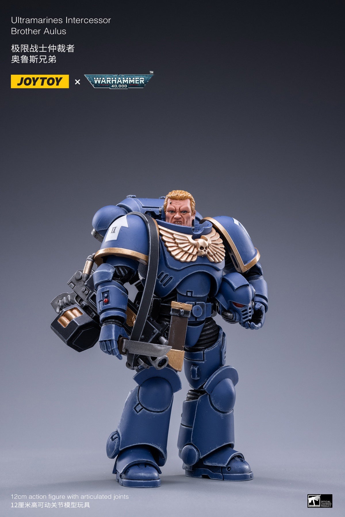 PRE-ORDER Warhammmer 40k - Ultramarines Intercessors 1/18