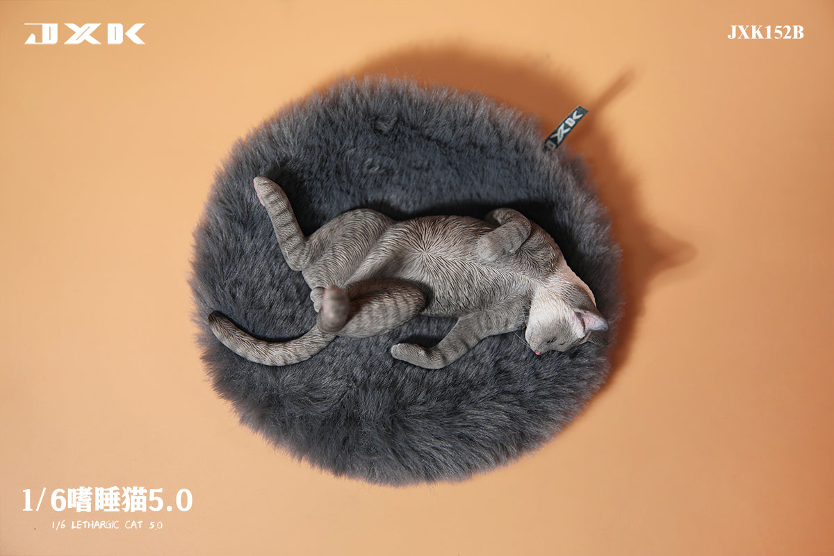 PRE-ORDER Lethargic Cat 5.0 1/6