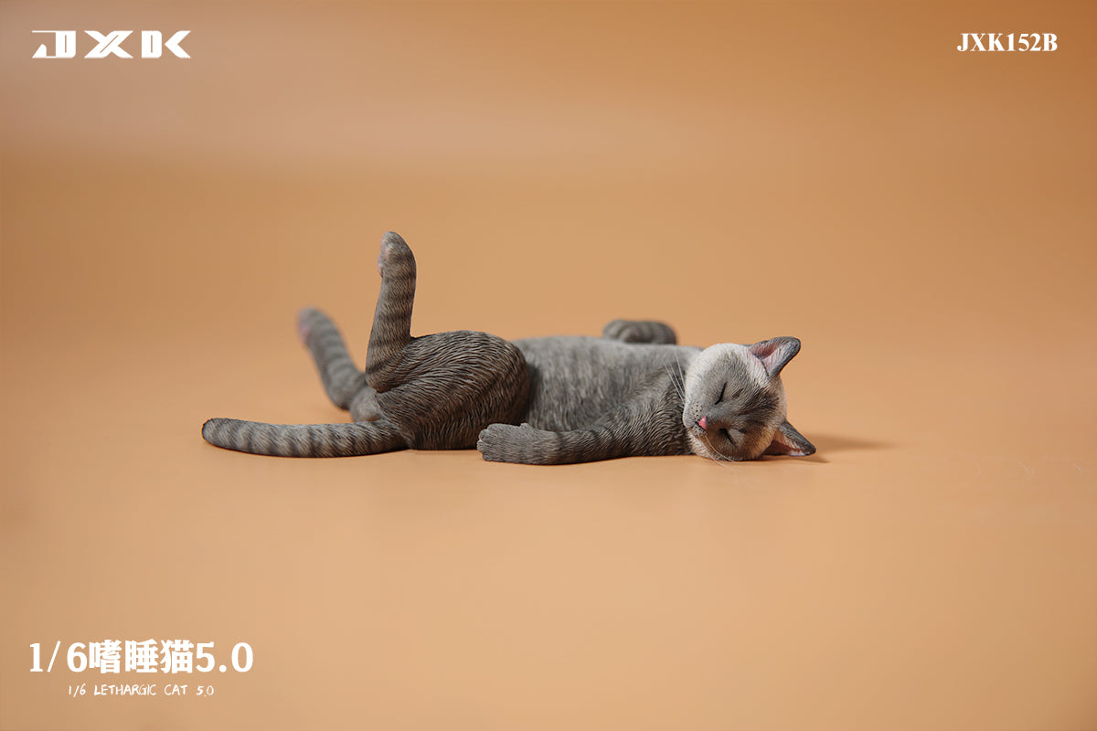 PRE-ORDER Lethargic Cat 5.0 1/6