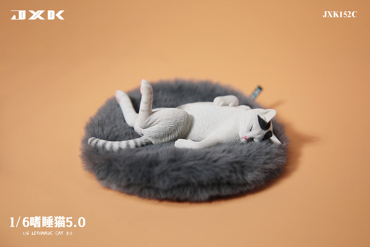 PRE-ORDER Lethargic Cat 5.0 1/6