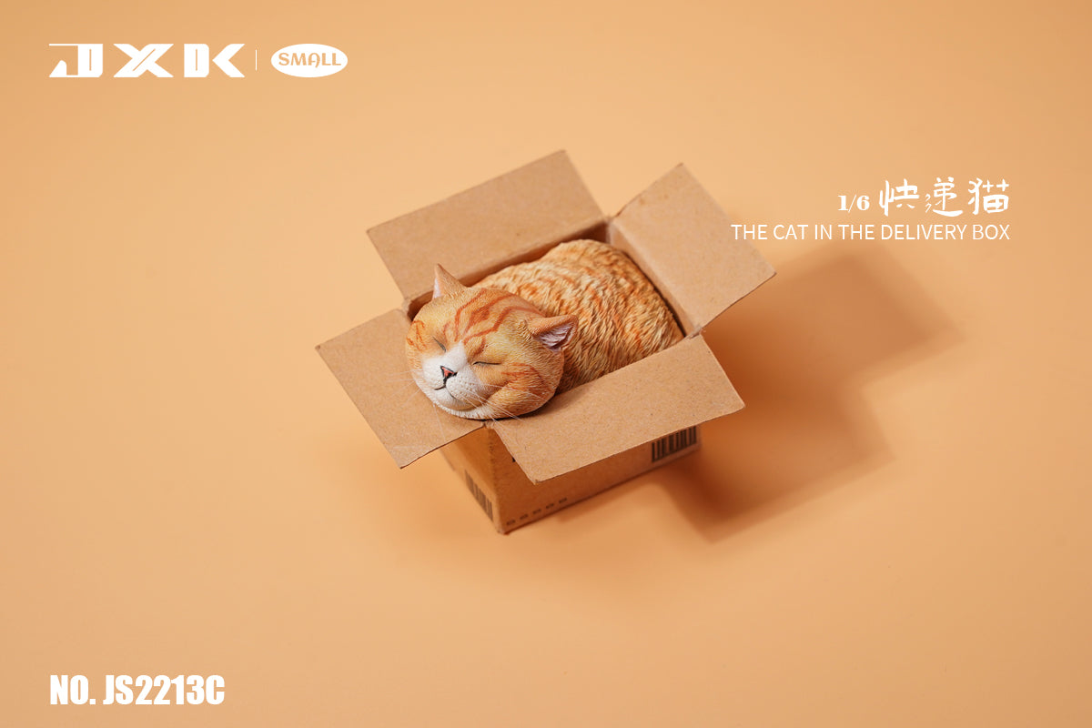 PRE-ORDER The Cat in the Delivery Box 1/6