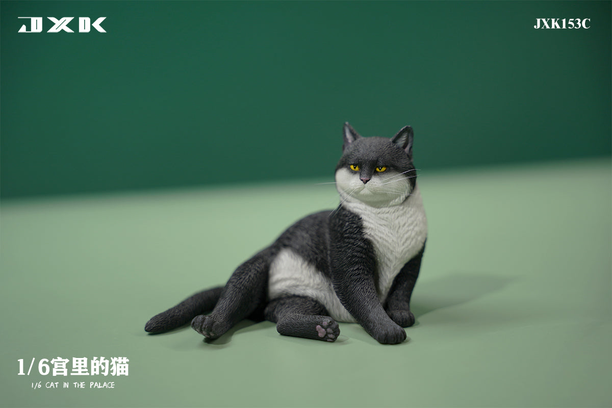 PRE-ORDER Cat in the Palace 1/6