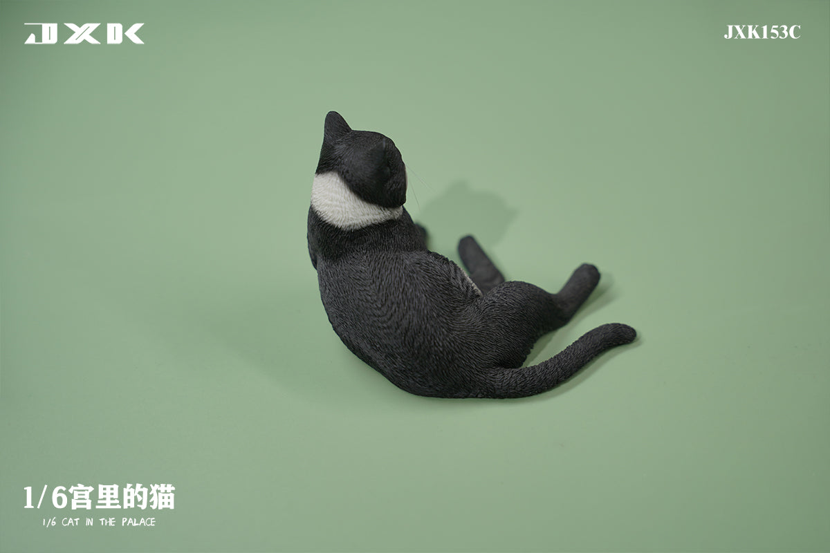 PRE-ORDER Cat in the Palace 1/6
