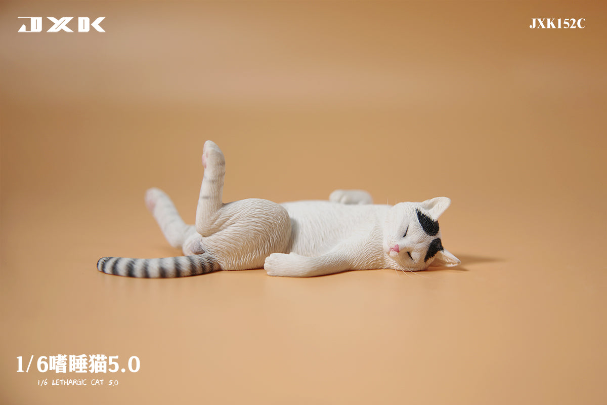 PRE-ORDER Lethargic Cat 5.0 1/6