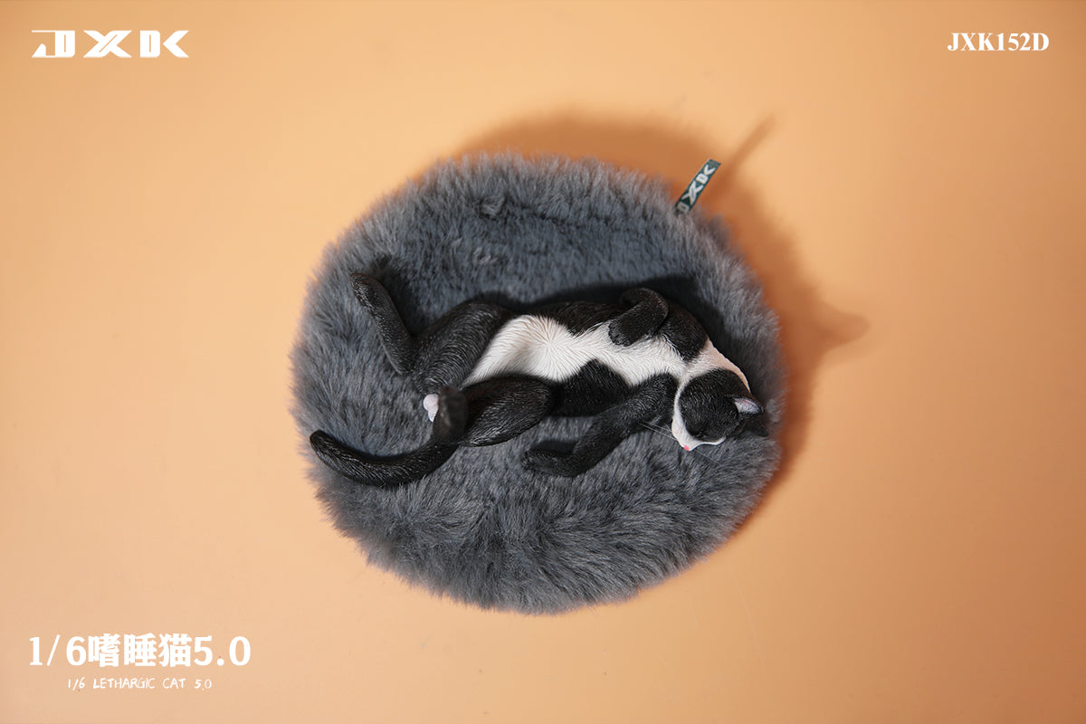 PRE-ORDER Lethargic Cat 5.0 1/6