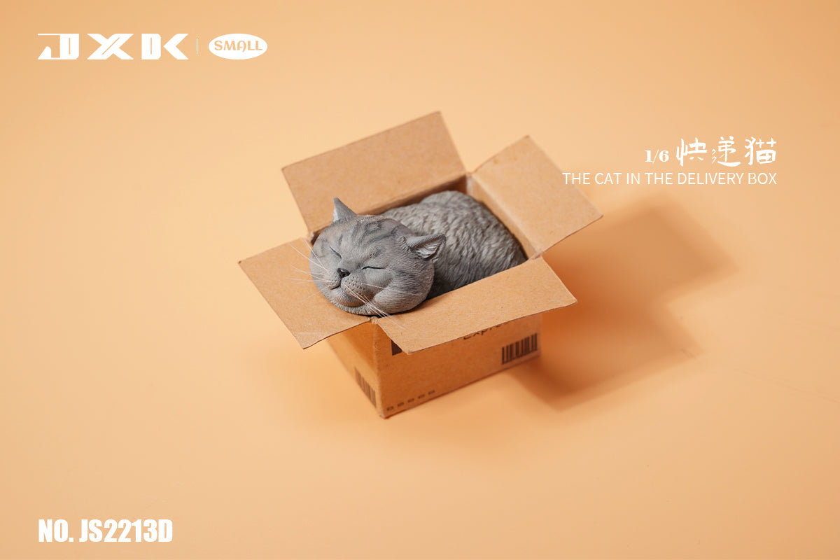 PRE-ORDER The Cat in the Delivery Box 1/6