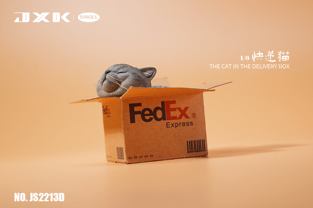PRE-ORDER The Cat in the Delivery Box 1/6