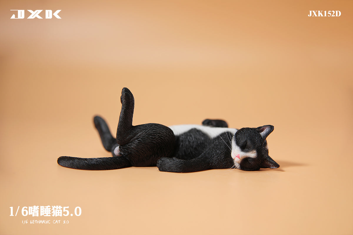 PRE-ORDER Lethargic Cat 5.0 1/6
