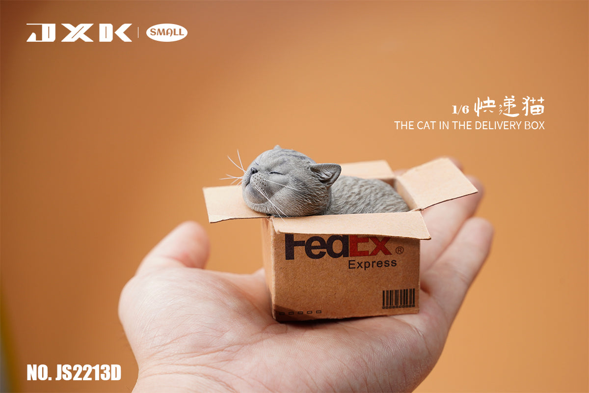 PRE-ORDER The Cat in the Delivery Box 1/6