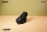 PRE-ORDER Mini Bully Dog E 1/6