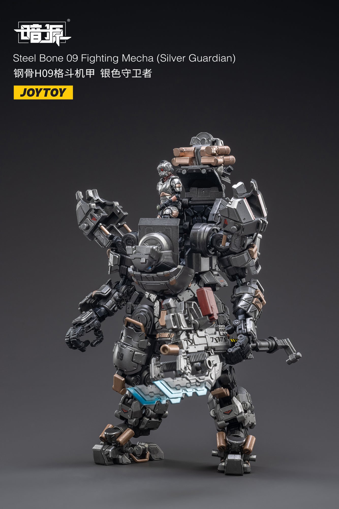 PRE-ORDER Steel Bone 09 - Fighting Mecha: Silver Guardian 1/18