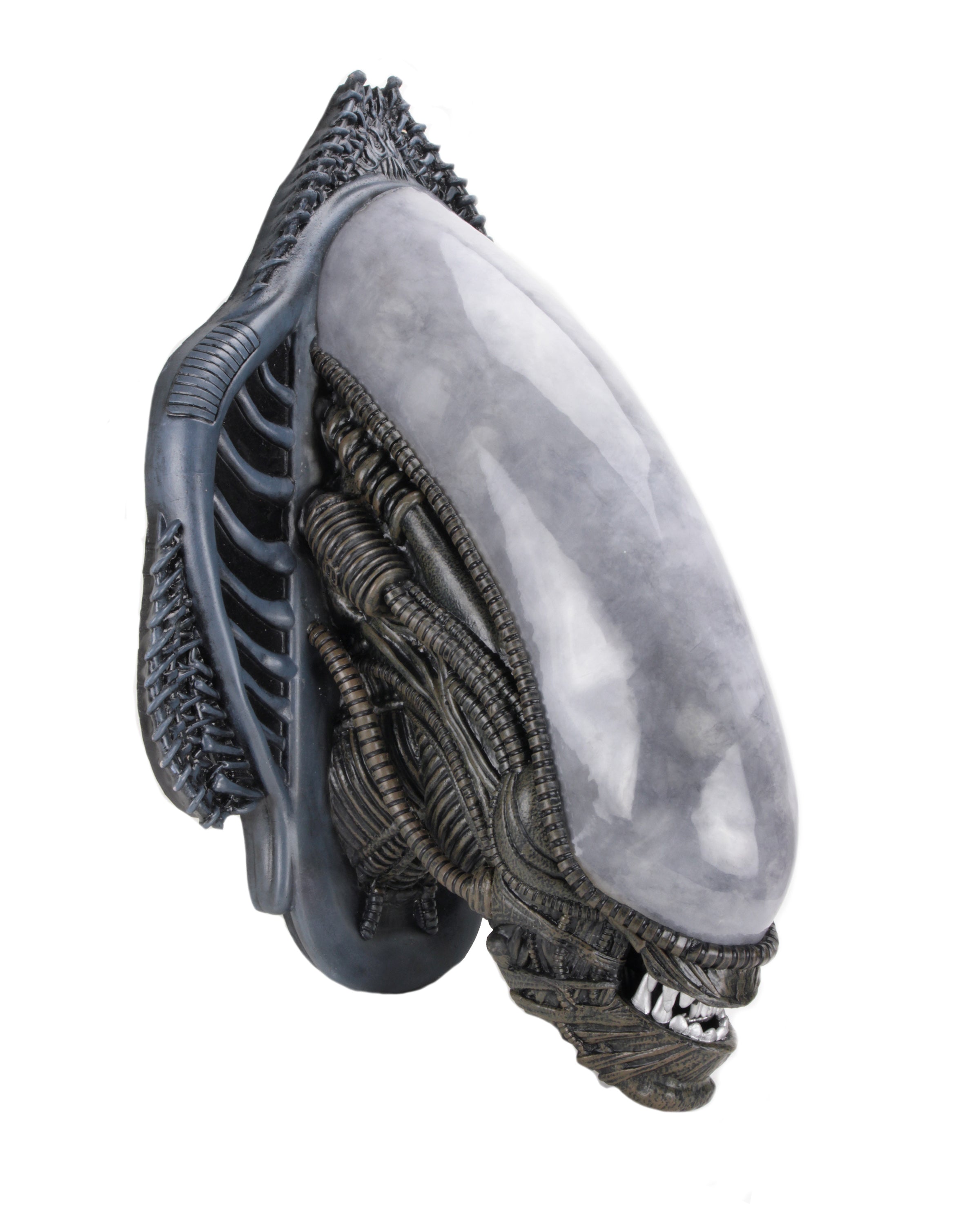 PRE-ORDER Foam Prop Replica - Alien - Xenomorph Wall-Mounted Bust