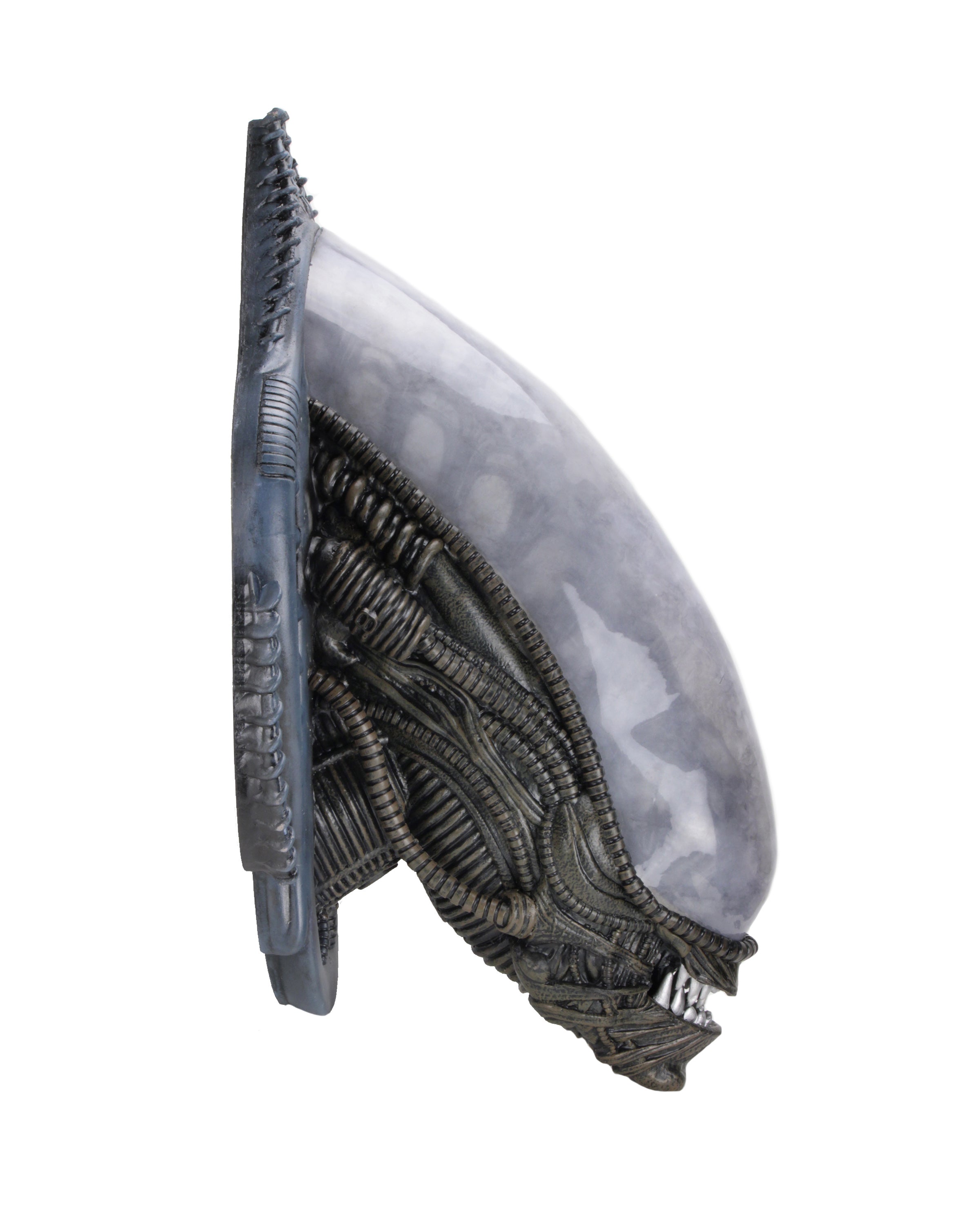 PRE-ORDER Foam Prop Replica - Alien - Xenomorph Wall-Mounted Bust