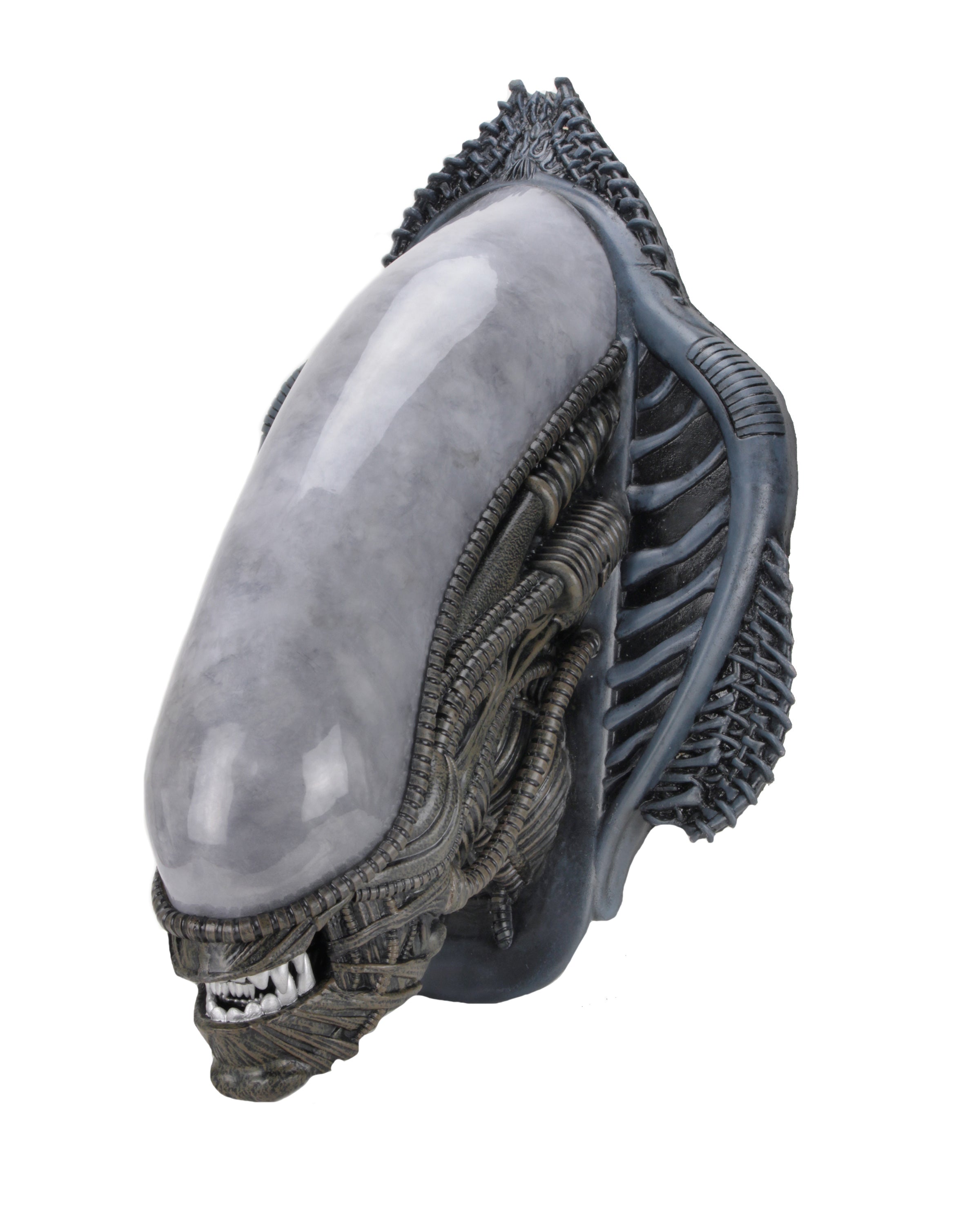 PRE-ORDER Foam Prop Replica - Alien - Xenomorph Wall-Mounted Bust