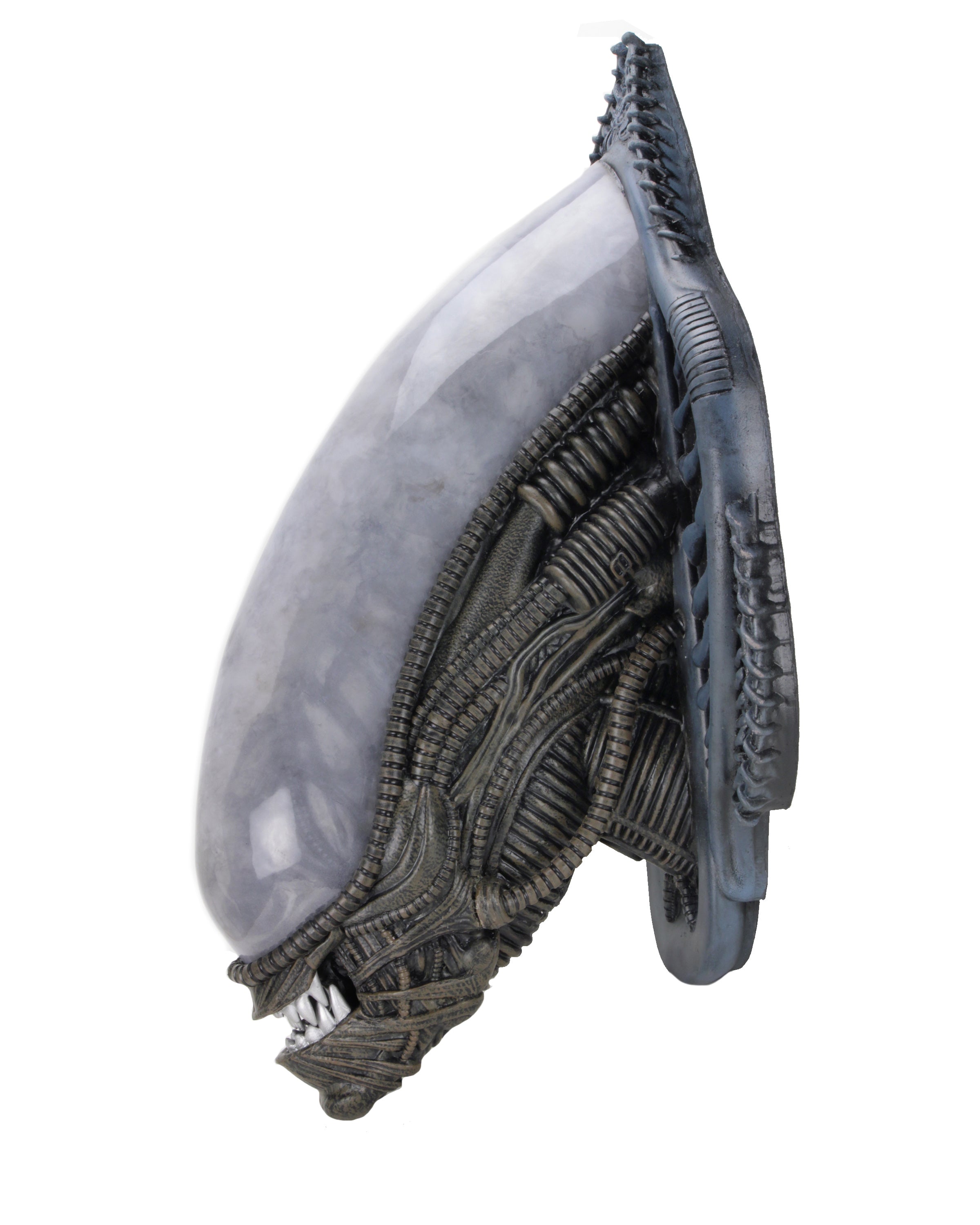 PRE-ORDER Foam Prop Replica - Alien - Xenomorph Wall-Mounted Bust