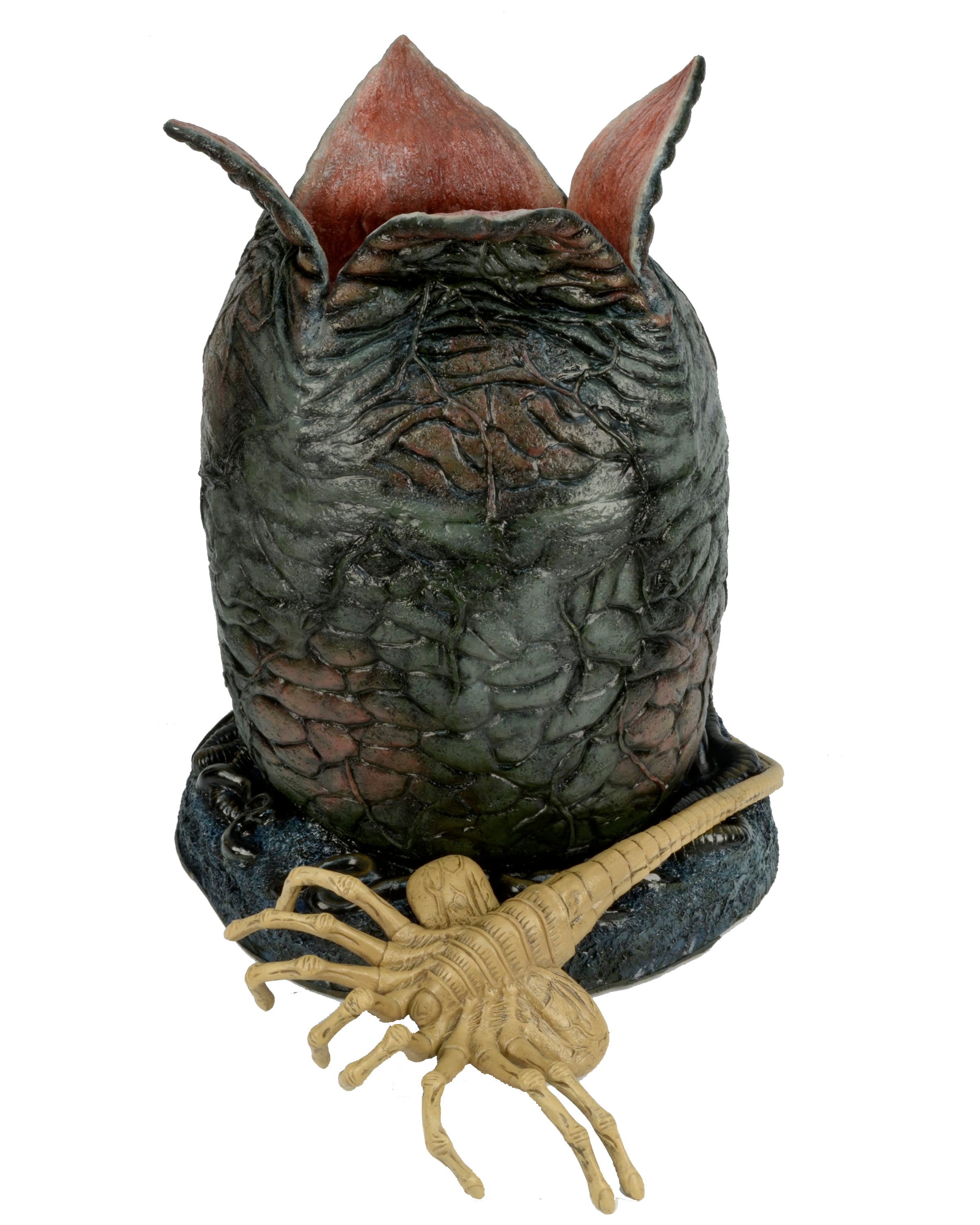 PRE-ORDER Foam Prop Replica - Alien - Life-Size Egg and Facehugger