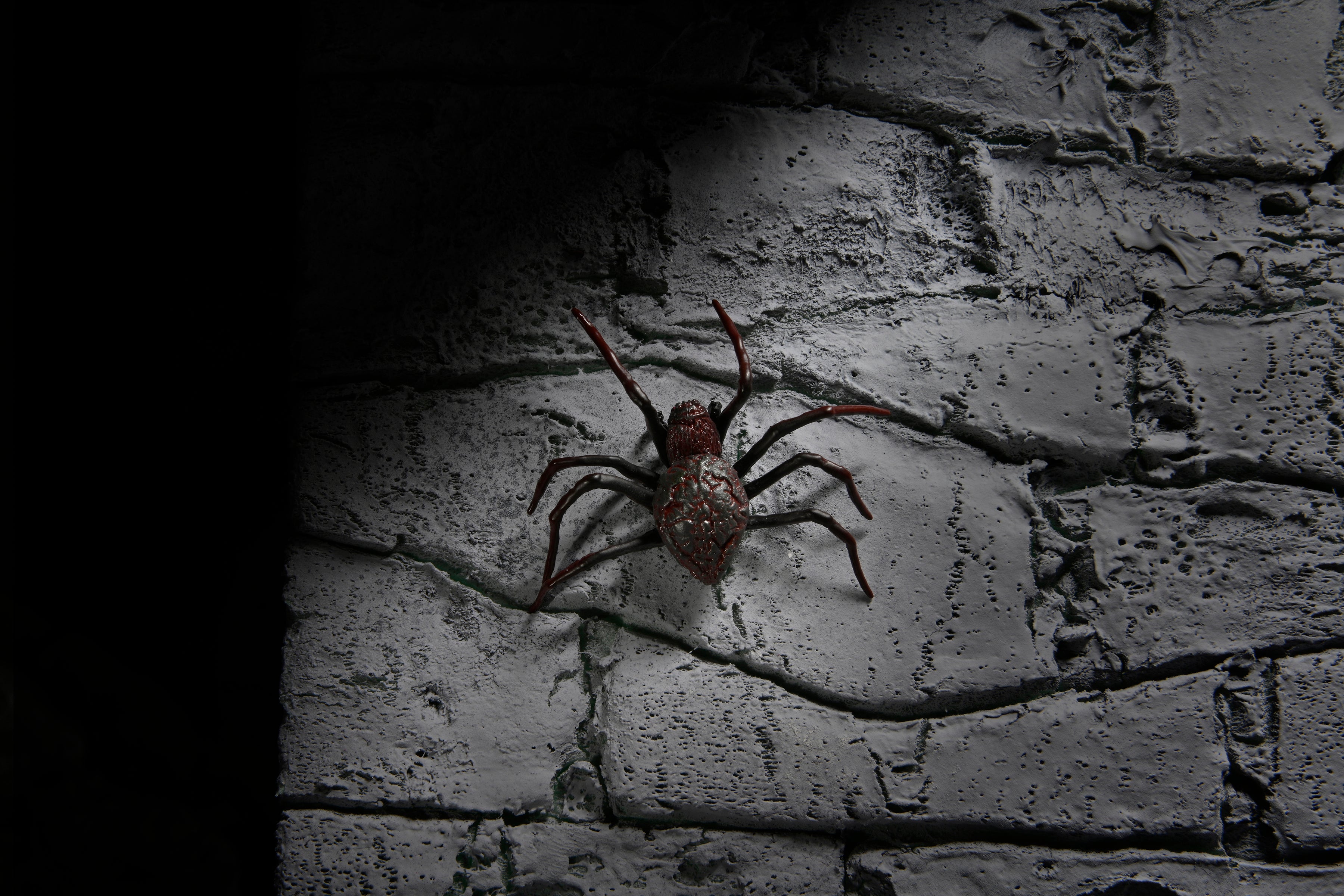 PRE-ORDER Universal Monsters – Dracula Accessory Set