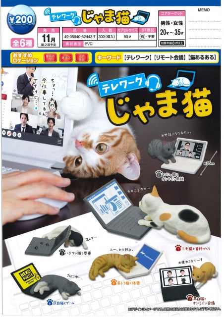 PRE-ORDER Cat Disturbing Tele-Work [Set of 6]