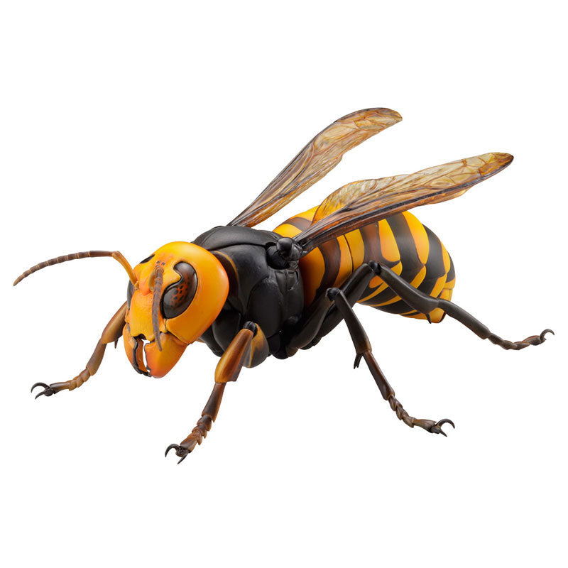 PRE-ORDER Revo Geo - Japanese Giant Hornet