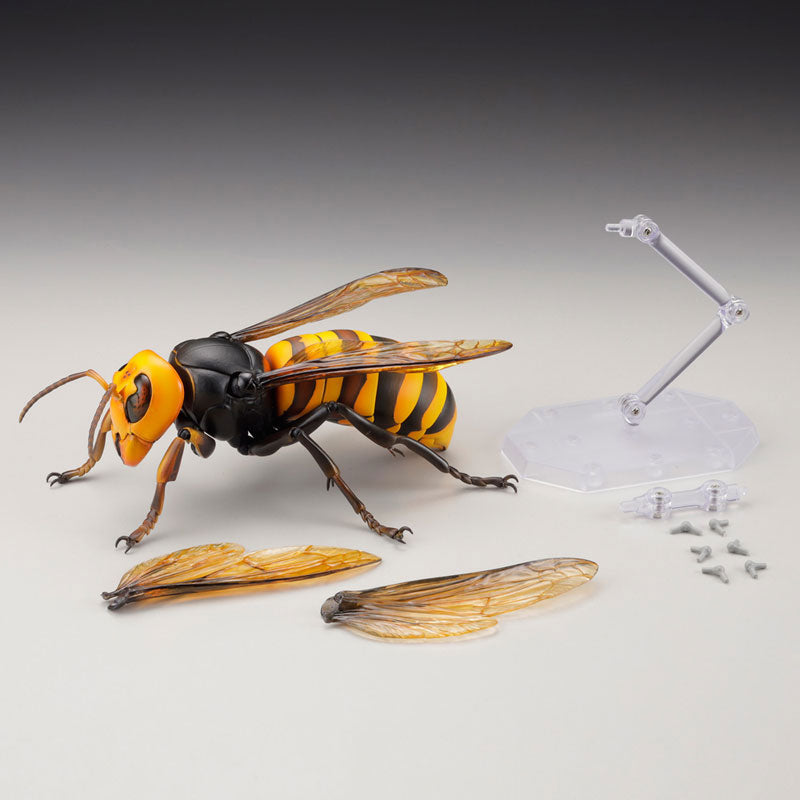 PRE-ORDER Revo Geo - Japanese Giant Hornet