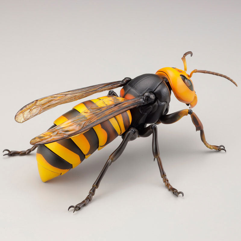 PRE-ORDER Revo Geo - Japanese Giant Hornet
