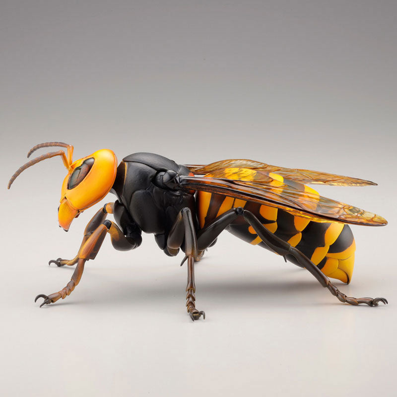PRE-ORDER Revo Geo - Japanese Giant Hornet