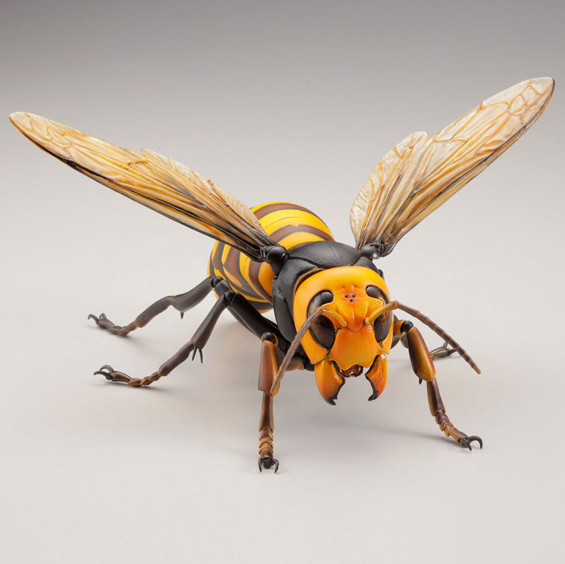 PRE-ORDER Revo Geo - Japanese Giant Hornet