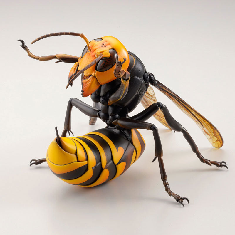 PRE-ORDER Revo Geo - Japanese Giant Hornet
