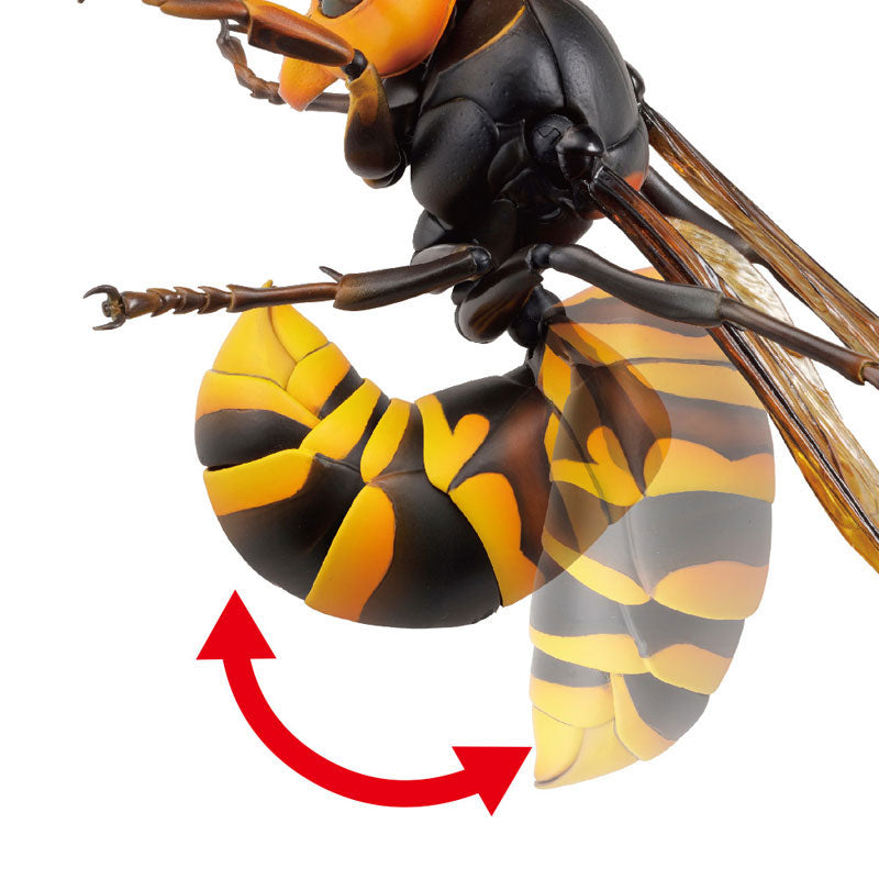 PRE-ORDER Revo Geo - Japanese Giant Hornet