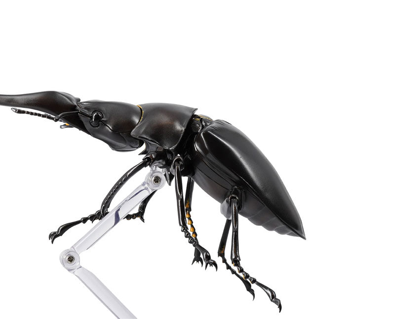 PRE-ORDER Revo Geo - Giraffe Stag Beetle