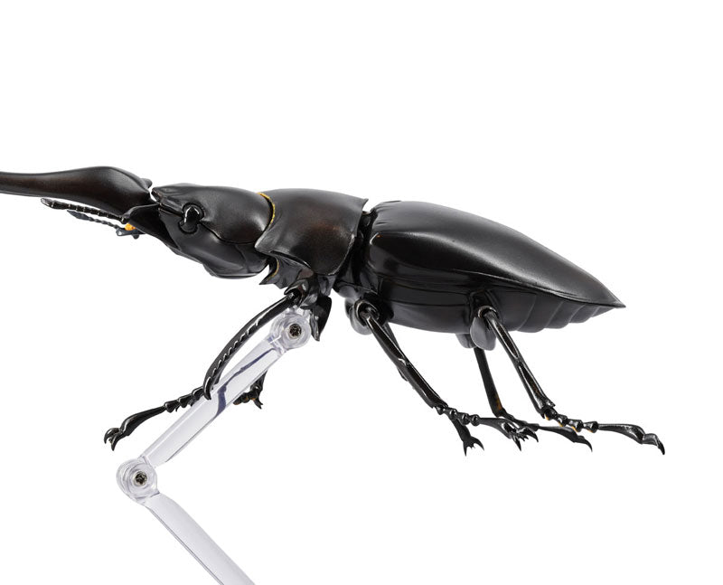 PRE-ORDER Revo Geo - Giraffe Stag Beetle
