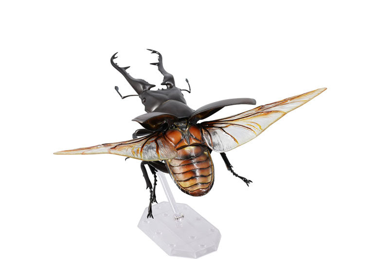 PRE-ORDER Revo Geo - Giraffe Stag Beetle