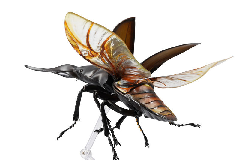 PRE-ORDER Revo Geo - Giraffe Stag Beetle