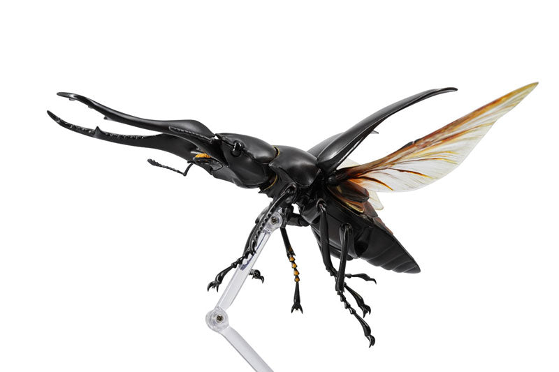 PRE-ORDER Revo Geo - Giraffe Stag Beetle