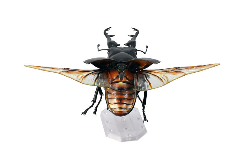 PRE-ORDER Revo Geo - Giraffe Stag Beetle