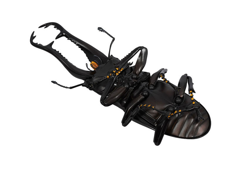 PRE-ORDER Revo Geo - Giraffe Stag Beetle