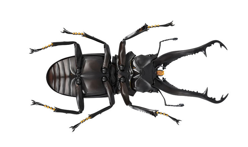 PRE-ORDER Revo Geo - Giraffe Stag Beetle