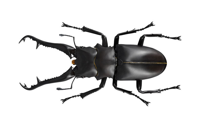 PRE-ORDER Revo Geo - Giraffe Stag Beetle