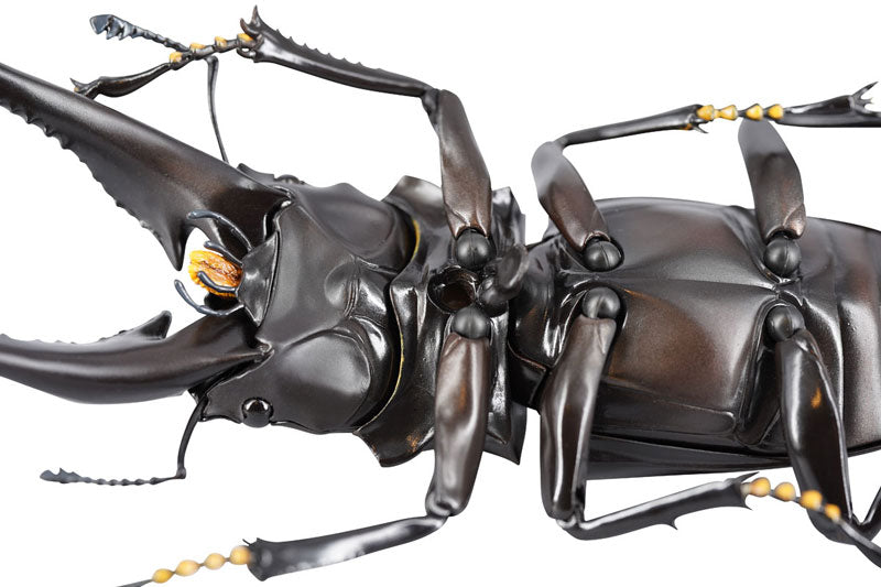 PRE-ORDER Revo Geo - Giraffe Stag Beetle